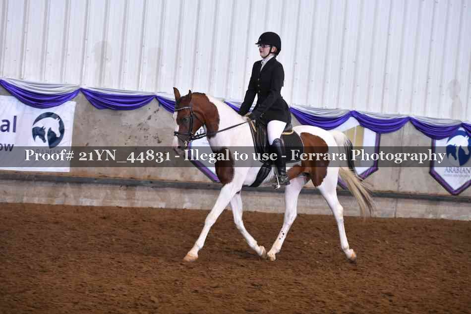 Proof Number 21YN_44831