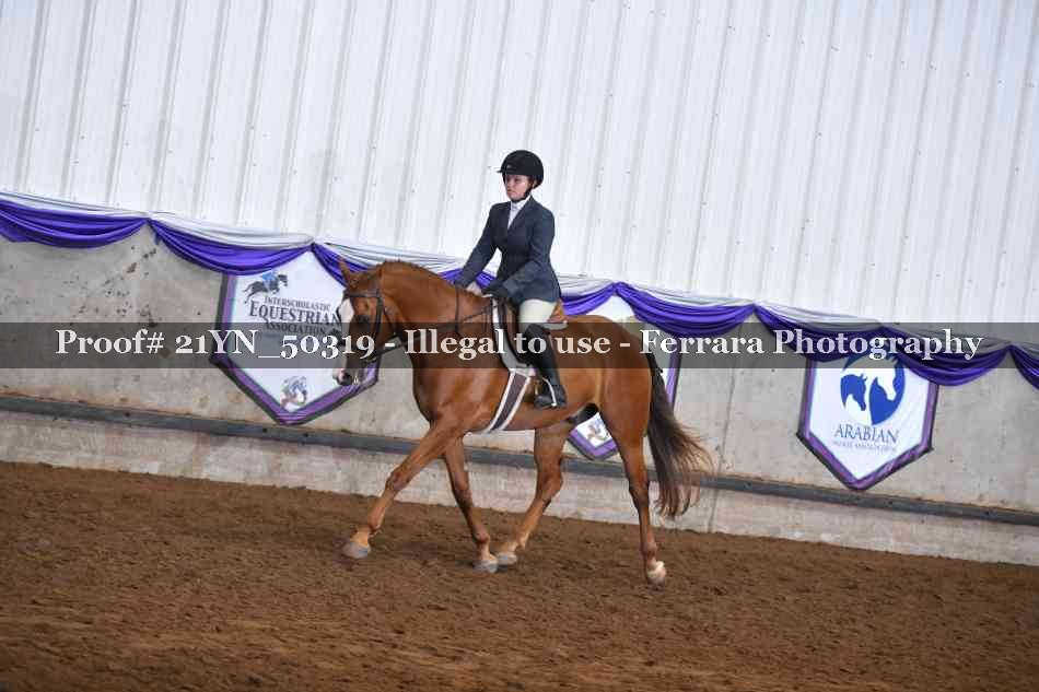 Proof Number 21YN_50319