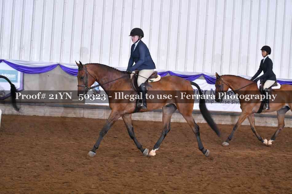Proof Number 21YN_50323