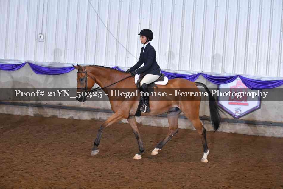 Proof Number 21YN_50325