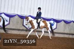 21YN_50356 thumbnail