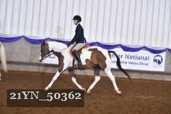 21YN_50362 thumbnail