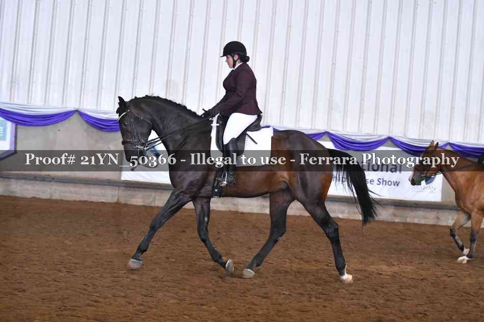 Proof Number 21YN_50366