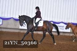 21YN_50366 thumbnail