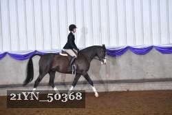 21YN_50368 thumbnail