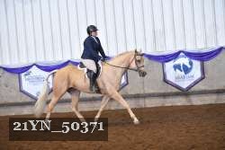 21YN_50371 thumbnail