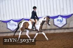 21YN_50372 thumbnail