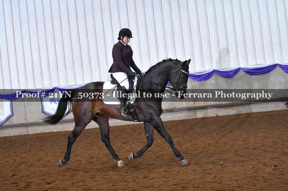 Proof Number 21YN_50373