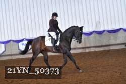 21YN_50373 thumbnail