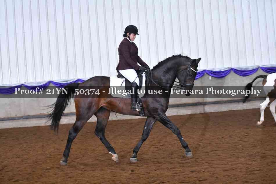 Proof Number 21YN_50374