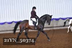 21YN_50374 thumbnail