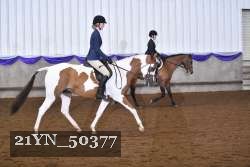 21YN_50377 thumbnail