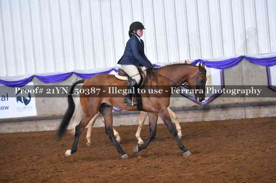 Proof Number 21YN_50387