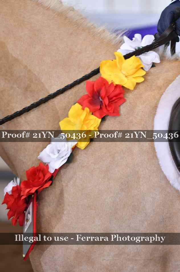 Proof Number 21YN_50436