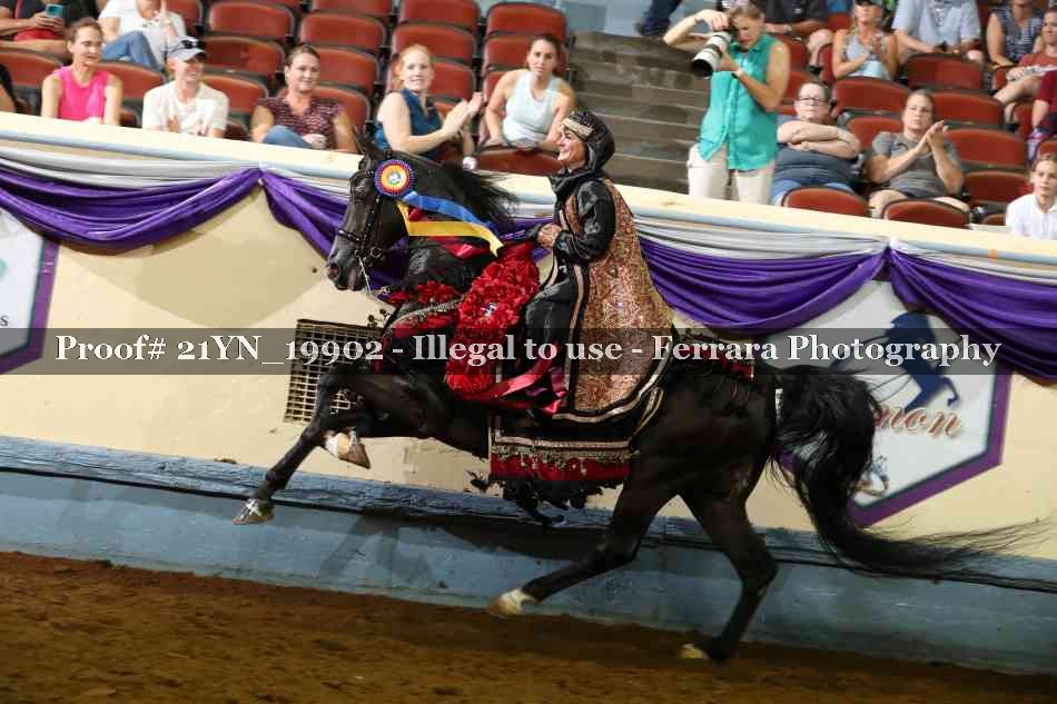 Proof Number 21YN_19902