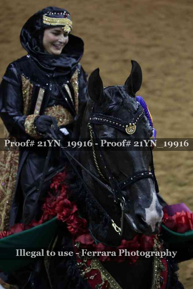 Proof Number 21YN_19916