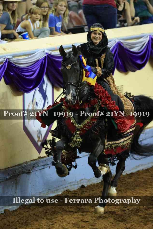 Proof Number 21YN_19919