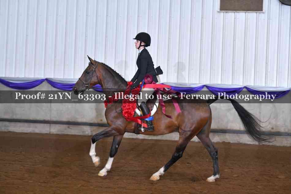 Proof Number 21YN_63303