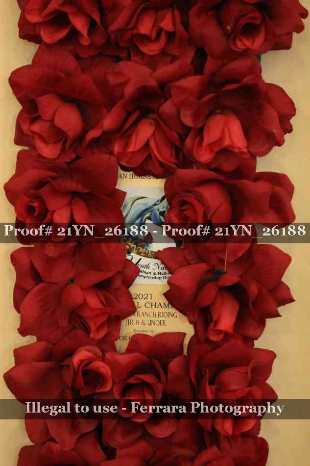 Proof Number 21YN_26188