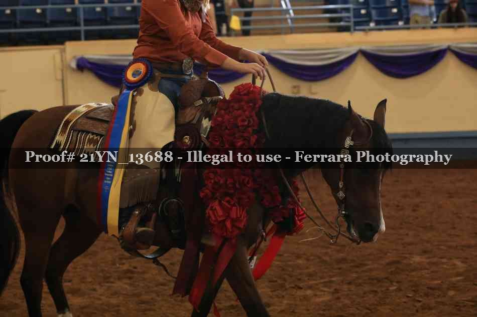 Proof Number 21YN_13688