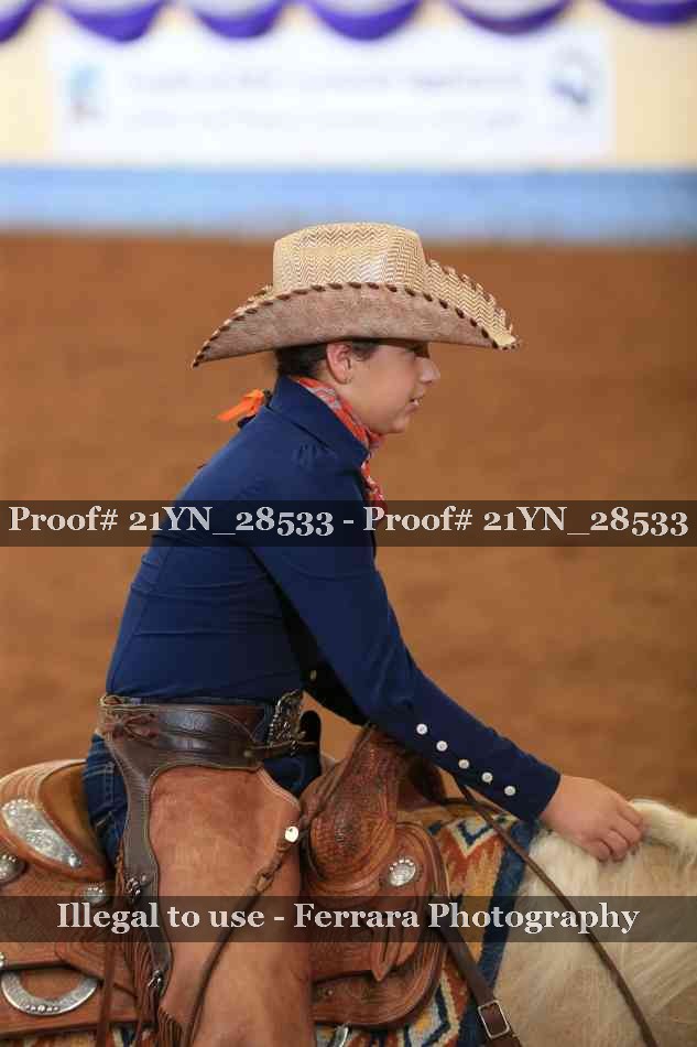 Proof Number 21YN_28533