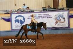 21YN_26883 thumbnail