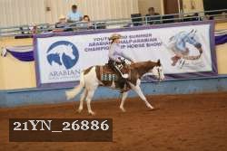 21YN_26886 thumbnail