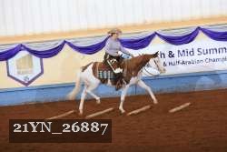 21YN_26887 thumbnail