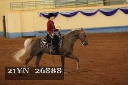 21YN_26888 thumbnail
