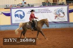 21YN_26889 thumbnail