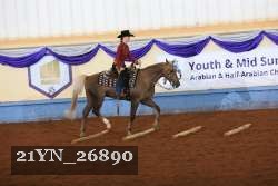 21YN_26890 thumbnail