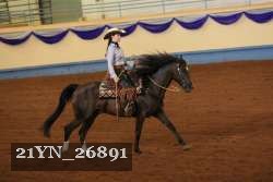 21YN_26891 thumbnail