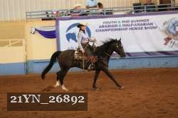 21YN_26892 thumbnail