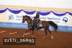 21YN_26895 thumbnail