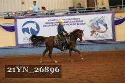 21YN_26896 thumbnail