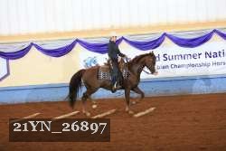21YN_26897 thumbnail