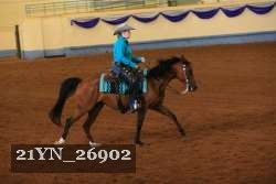 21YN_26902 thumbnail