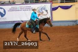 21YN_26903 thumbnail