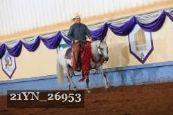 21YN_26953 thumbnail