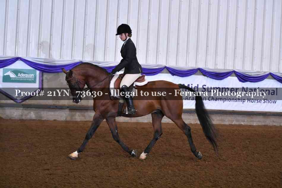 Proof Number 21YN_73630