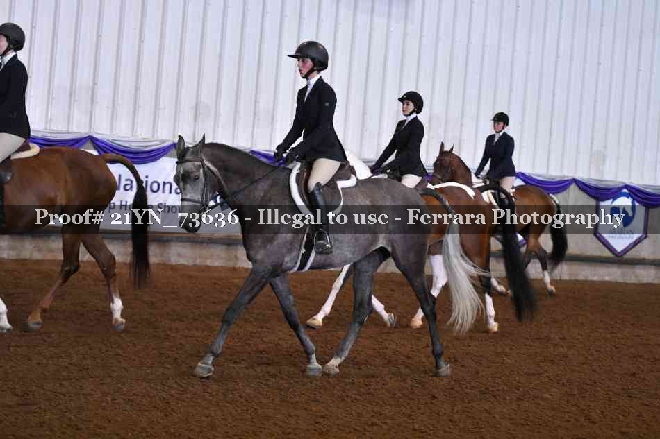 Proof Number 21YN_73636