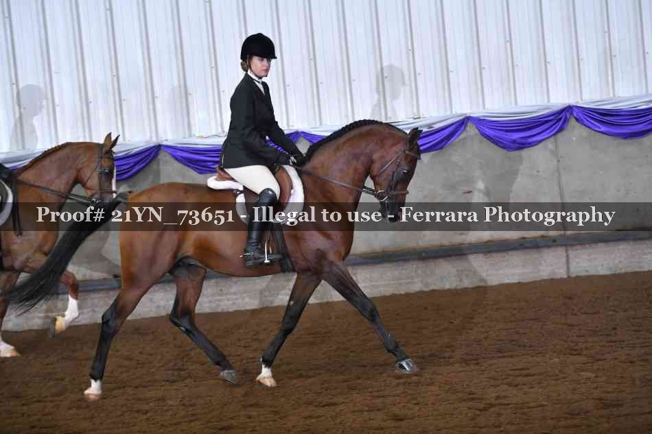 Proof Number 21YN_73651