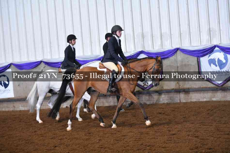 Proof Number 21YN_73655