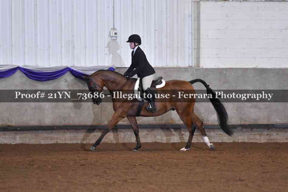Proof Number 21YN_73686