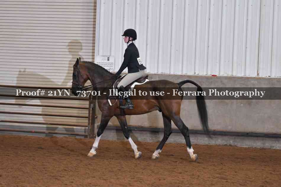 Proof Number 21YN_73701