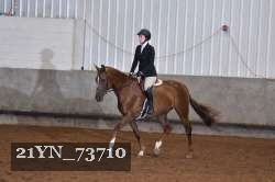 21YN_73710 thumbnail