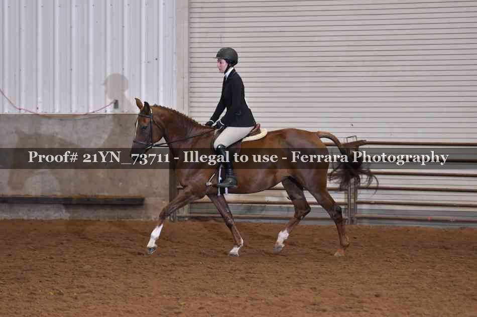 Proof Number 21YN_73711