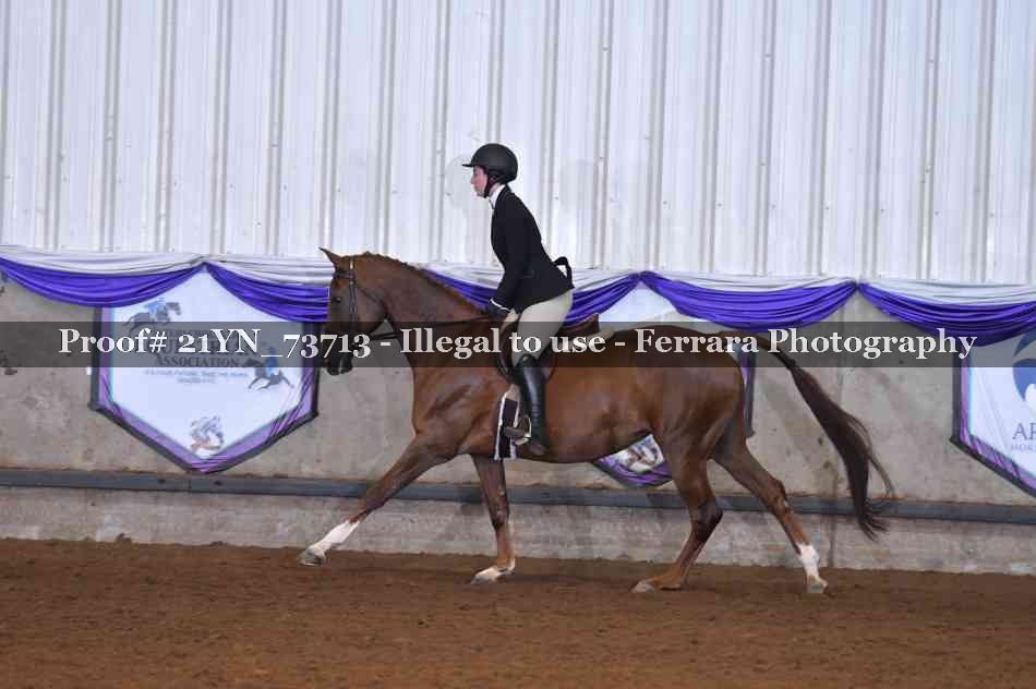 Proof Number 21YN_73713