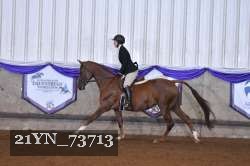 21YN_73713 thumbnail