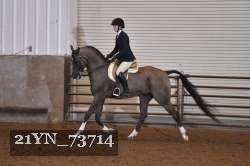 21YN_73714 thumbnail